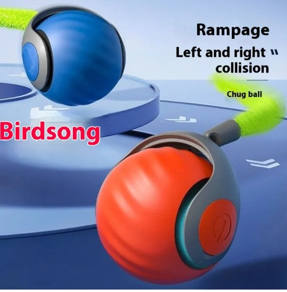 Speedy Tail Pet Toy Ball